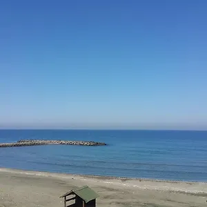 تحقق من التوفر